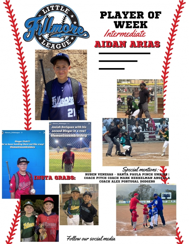 Article & photo courtesy Brandy Hollis in collaboration with Fillmore Little League.