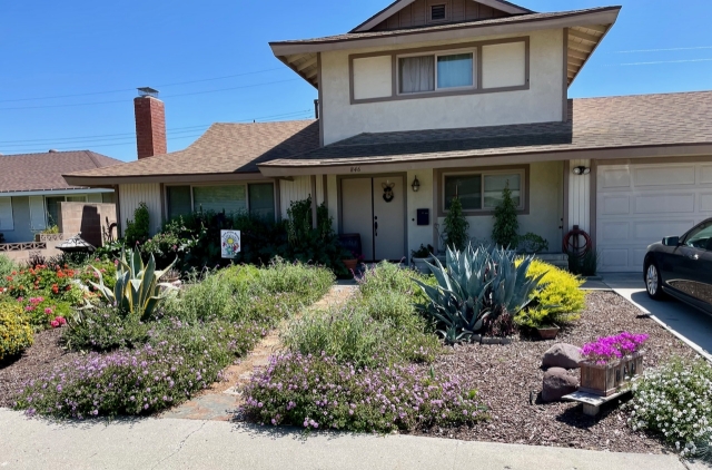 Fillmore’s Civic Pride volunteers named Verna Tipton for the Yard of the Month, May 2024. Her beautiful yard sits at 846 Wileman Street. She will receive a gift card from Otto & Sons Nursery. Photo credit Linda Nunez.