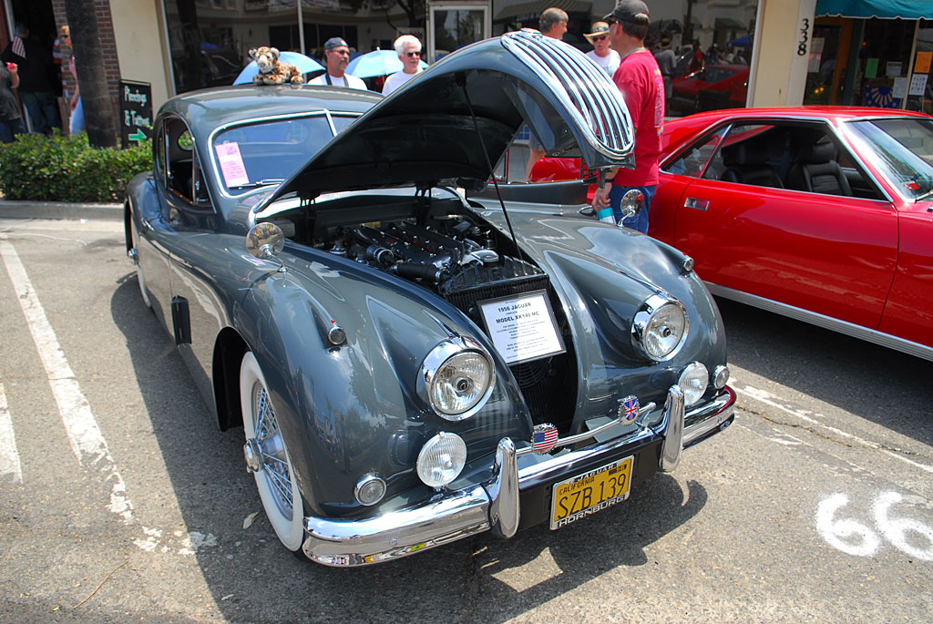 DSC_0013.jpg