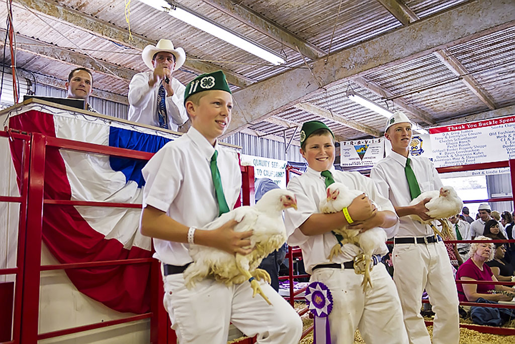 Fair-FFA-08-18-10-11-Cody-Moore-Chickens.jpg
