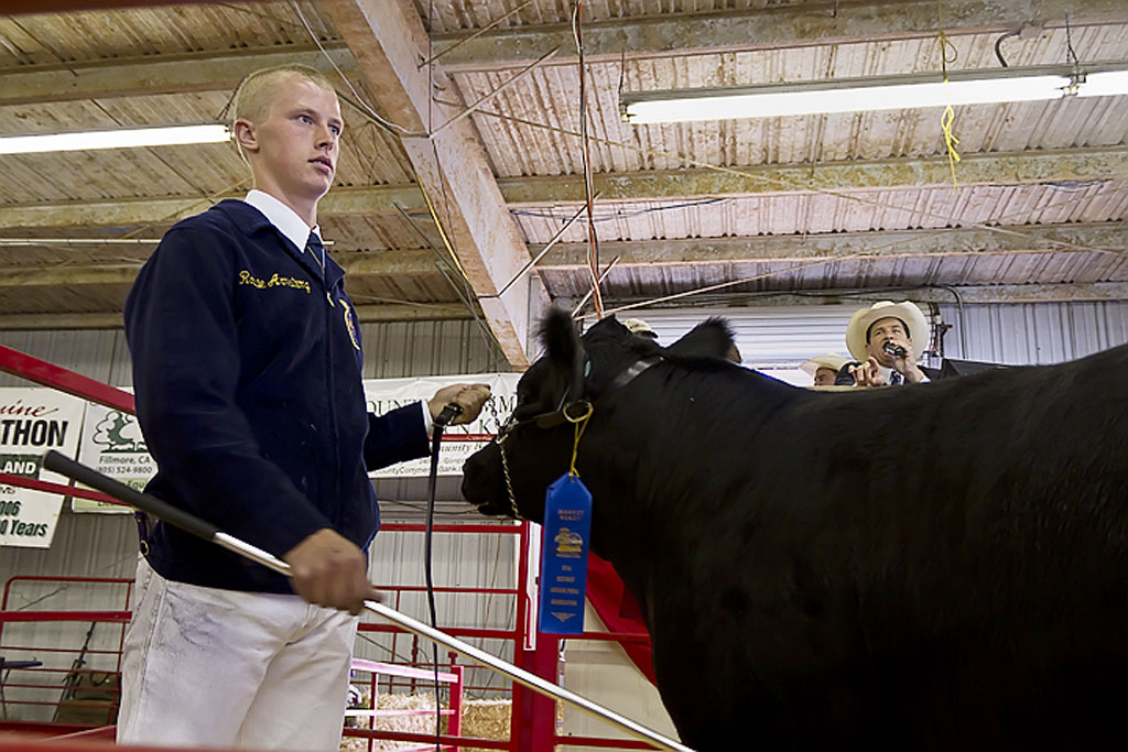 Fair-FFA-08-18-10-7-Robert-Armstrong.jpg