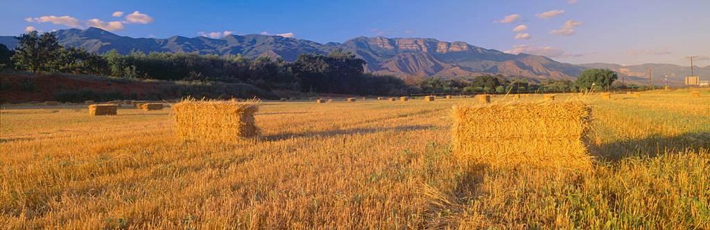 VOA_Ojai-Hay-Bales.jpg VOA_Ojai-Hay-Bales.jpg