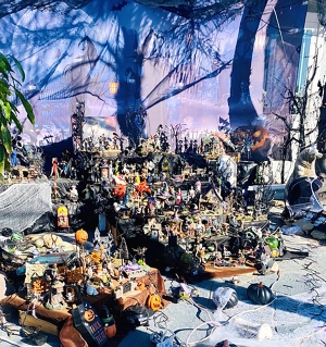 Photo credit Linda Nunes