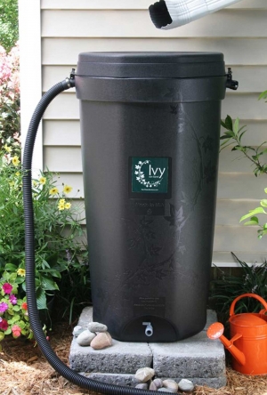 Ivy rain barrel features:
•	Made in the USA
•	100% recycled plastic
•	Dimensions 42.5”H x 22” W x 18” L    
•	Child proof, bug proof lid
•	Best-in-class overflow set up
•	3/4