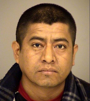 Vicente Sosa Pedrito, Aka: Juan Mendoza, Juvenal Martinez, Alfonso DeLeon, “El Peluchin”, DOB: 05/29/1967, 05/05/1975, Sex: Male, Ethnicity: Hispanic, Eye Color: Brown, Hair Color: Black, Height: 5’5”, Weight: 150, CDL: C6458134, Tattoos: Rose flower on left hand, Jesus on left arm, woman on right arm.