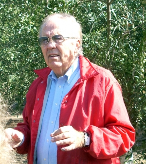 Owner Ron Asquith, standing in part of the 17 acres of olive trees he owns.
