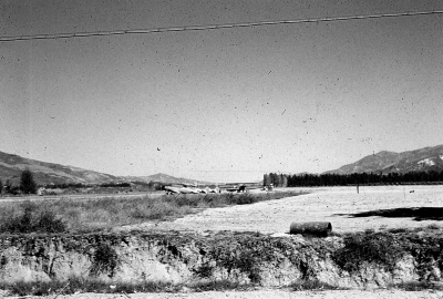 Basolo field