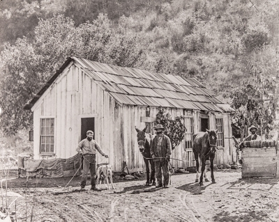 Nick Noce’s Walnut Ranch, OVMuseum Archive