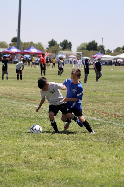 This past weekend Fillmore’s Club teams competed in the California Cup and, showed very well all around. Above is one
of the 2013B California United player (right) as he tries to take the ball from the opposing team.