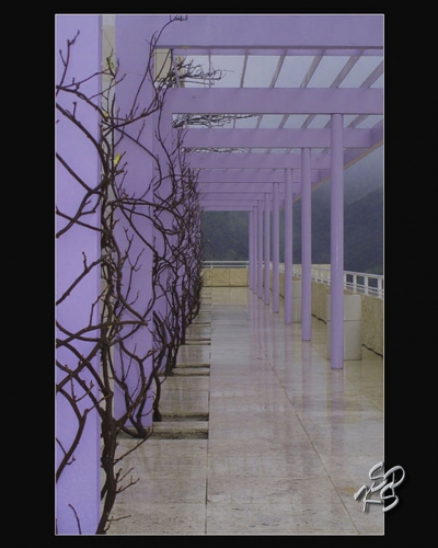 “Purple Corridor of Mystery” by Carmelita Miranda.