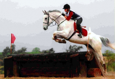 Caitlyn Teague, rides her horse in her fi rst training level competition.