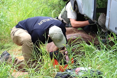 Photo credit Angel Esquivel