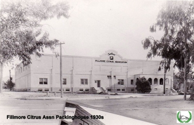 The Fillmore Citrus Association Lemon Packinghouse in the 1930s.