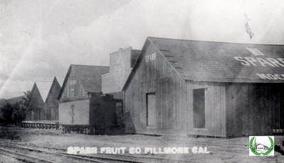 Sparr Fruit Company circa 1910.