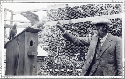 Pictured above is Francis H. Rudkin who came to the United States in 1912. He was a member of a bird fanciers’ organization in England in 1902 and helped found the Avicultural Society of America in 1927. Photo credit Fillmore Historical Museum.