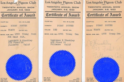 Above are three Certificates of Award from the Los Angeles Pigeon Club, Inc. 20th Annual Show back in January 1933, for Lawrence B. Hinckley, or Fillmore. Photo courtesy Fillmore Historical Museum. 