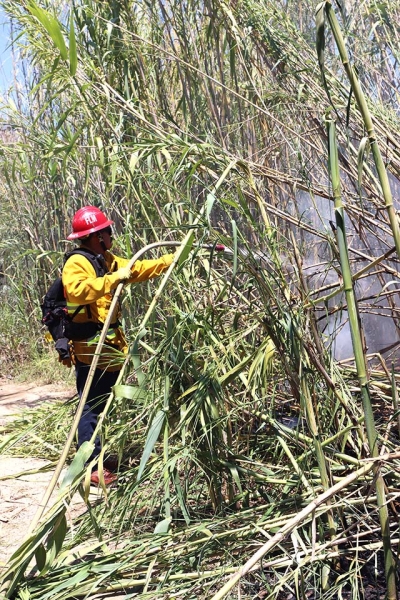 The arson fire at 400 Chambersburg Road required about 30 units, drones and copters to respond to the Santa Clara Riverbed on Sunday. Photo credit Sebastian Ramirez.
