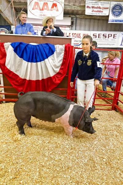 Hailee Smith, Fillmore FFA, raised a market swine of 273 lbs which was awarded FFA Reserve Grand Champion.