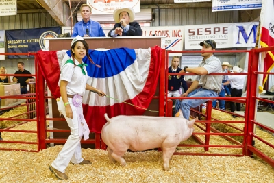 Jazmin Olvera, Sespe 4H, raised a 268 lb market swine that was awarded 4H Reserve Grand Champion.