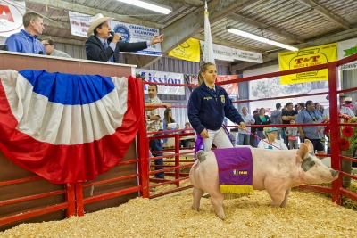 Macie Wokal, Fillmore FFA, raised a 274 lb market swine that was awarded FFA Grand Champion. Auction results: $40/lb, $10,960.