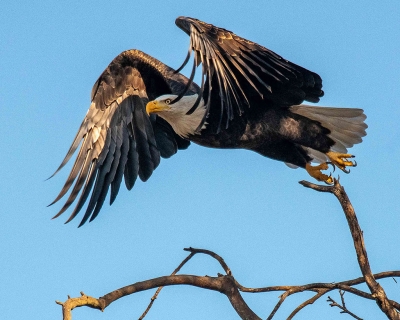 Photograph by Photographer Bob Massey.