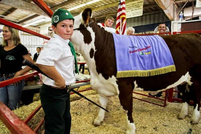 Phillip Theising, 11, Bardsdale 4-H, raised a replacement heifer and was awarded 4-H Champion/Reserve Champion. Phillip's champion replacement heifer, Penelope, fetched $10,000 at auction.