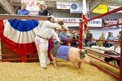 Silver Perez, Sespe 4H, raised a 273 lb market swine that was awarded the 4H Champion/Reserve Grand Champion.