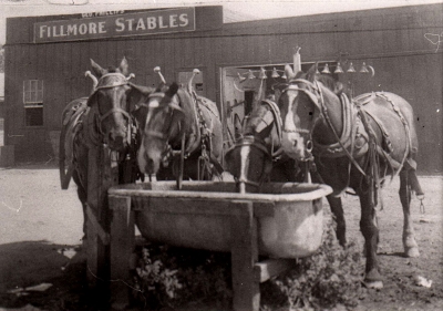 Bathtub trough for the horses. 
