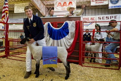 Timmy Klittich, 16, Fillmore FFA, raised a 150 lb. FFA Champion/Reserve Grand Champion market lamb.