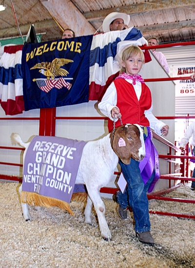 Autumn Inglis Santa Clara Valley Grange, PIru- Grand Champion Turkey and Reserve Grand Champion
Market Goat shown.