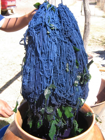 Wool skein dyed with indigo 2011, Phto By Centro Bii Daüü, Zapotec Art Center