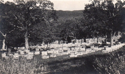 Young family bees on Oak Flat in 1916.