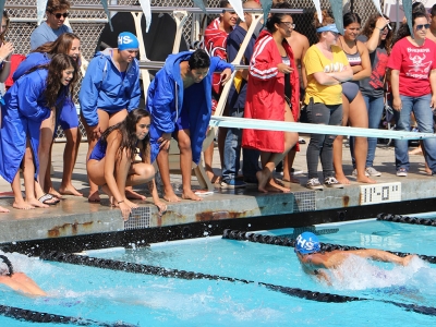 Fillmore High teammates cheering for their swimmers at Thursday’s All Citrus Coast League championships.