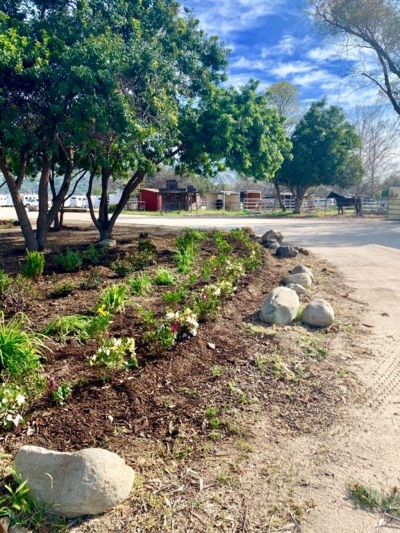Vanessa Garcia gave a presentation at Tuesday’s City Council meeting on the beautification of the Fillmore Equestrian Center. Backhoes were used to clean up the center, and landscaping was added as pictured. Thank you to Mario and Vanessa Garcia-Robledo and family of Heritage Valley Family Farms.