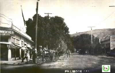 Stephens Store on Central Avenue, 1914.