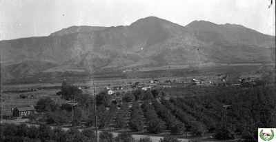 Early North Fillmore Homes and Orchards.