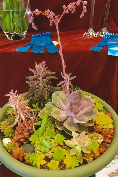 Dish Garden Prize Winner by Carmen Zermeno at the 100th anniversary in 2017.