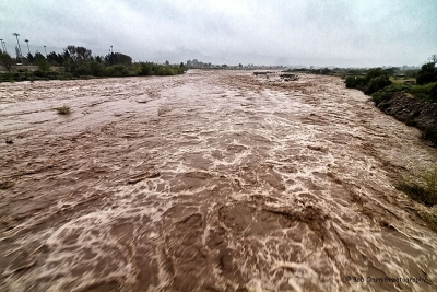 Sespe Creek looking south.