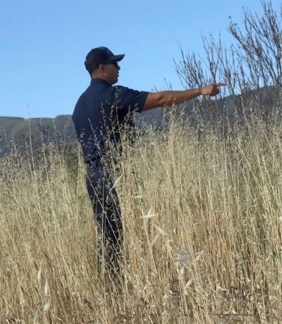 Pictured is a Fillmore firefighter surveying the fields during a previous weed abatement event. Photo courtesy Fillmore Fire Chief Keith Gurrola.