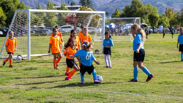Fillmore’s ASYO 242 hosted soccer games at Two Rivers Park last Saturday, September 9, 2023. Above is a photo from the Blue Waves game and right is from the Killer Bees game. The park was filled with teams playing despite the hot weather, and the kids still came out and had fun. Photo credit Crystal Gurrola. 