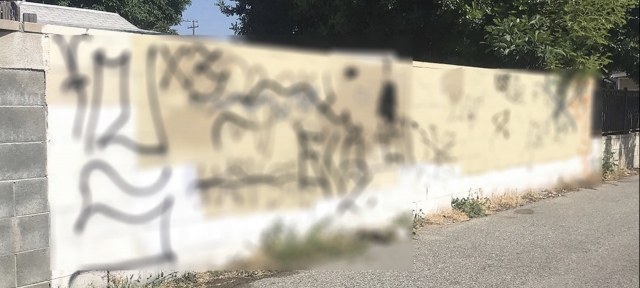 The Blaine Avenue ally way at 3rd Street has become defaced with graffiti here in Fillmore over a short period of time and has become an eyesore for our beautiful little town. The photo above was taken June 6, 2023; the picture on the below was taken July 10, 2023. The Fillmore Police Department encourages citizens to immediately report suspicious people and vehicles, and to promptly report any graffiti they come across by calling our dispatch center at (805) 654-9511. After police investigation, all graffiti should be immediately removed. Anyone with information pertaining to any crime is urged to contact The Fillmore Police Station at (805) 524-2233.  The reporting party may remain anonymous. For graffiti removal in the unincorporated areas of Ventura County, call Ventura County Public Works at (805) 654-2018 M-F 8 AM-5 PM.