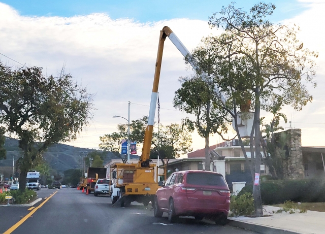 On Tuesday and Wednesday, January 30/31, sidewalks and street parking were blocked for the day as city crews trimmed trees along Sespe Avenue, Kensington Avenue and Orchard Street, just in time for the expected storm front.
