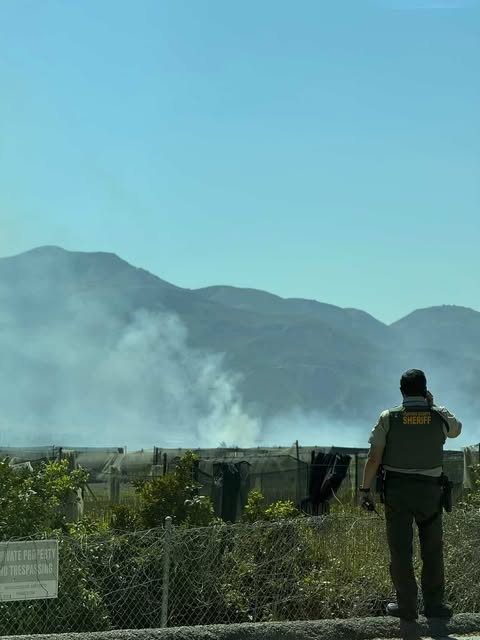 On Tuesday, September 16th, at 1:12 p.m., the Ventura County Fire Department was dispatched to a brush fire in the 3600 block of Camulos Street, Piru. Arriving firefighters reported a one-acre fire with slow rate of spread along with a copter overhead making water drops. As of 2pm the fire was reported out and a fire investigator was on-scene analyzing the cause of the fire. Photo credit Angel Esquivel.