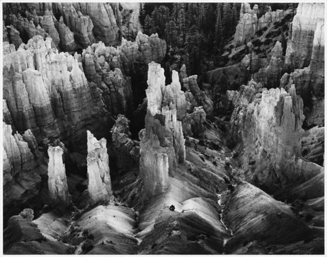 "Bryce Canyon 180" by Photographer Steve Moulton. 