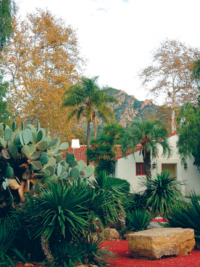 CSUCI Cactus Garden