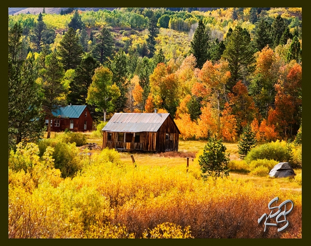 Carmelita Miranda won a merit award for her print entitled “Colorful Neighbors” in the Landscape classification.