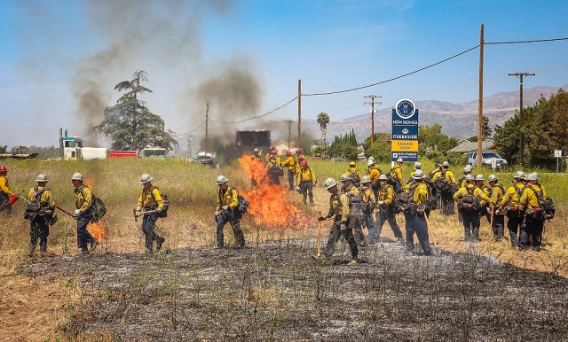 Fillmore Fire Department was one of several agencies that took part in a controlled burn on Thursday, June 12th. Photo credit Angel Esquivel. See more photos online.

VCFD & LAFD crews in training. Photo credit Angel Esquivel.

