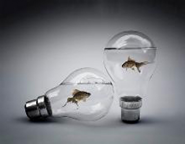 “Goldfish and Lights”, by Donald Cresswell, voted one of the top images from “Just Photos” 2012.
