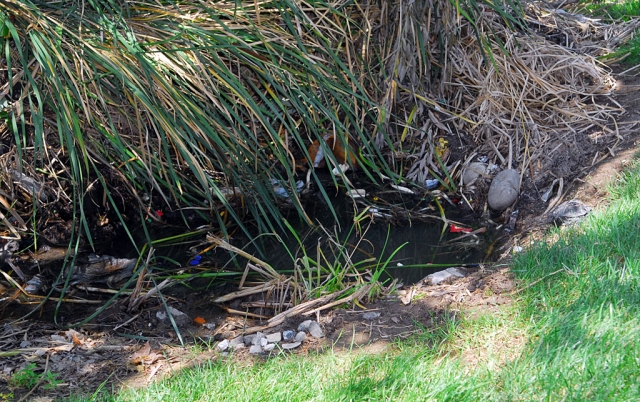 Pictured is a Rain Garden, at the northwest corner of Old Telegraph Road and C Street. The stagnant water is full of trash and not soaking into the ground as planned.
