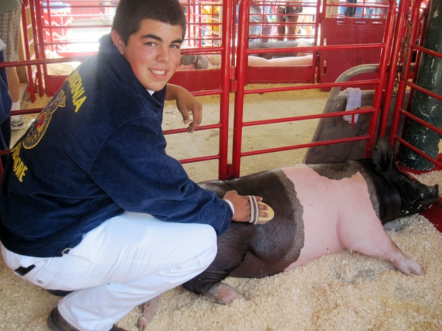 Anthony Perez with his FFA Reserve Grand Champion pig “Tank”.